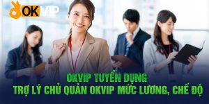 OKVIP tuyển dụng trợ lý chủ quản mức lương, chế độ